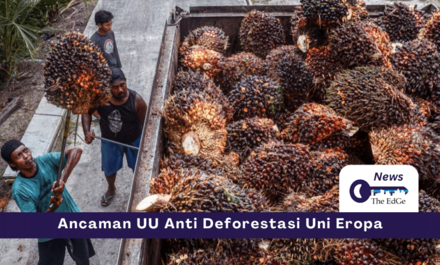 Ancaman UU Anti Deforestasi Uni Eropa - The EdGe