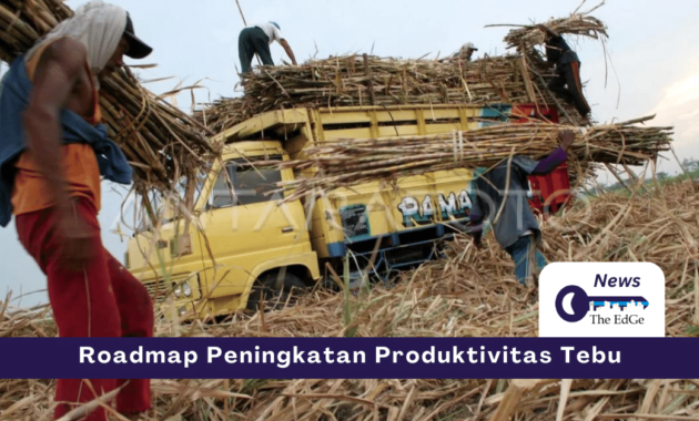 Roadmap Peningkatan Produktivitas Gula - The EdGe