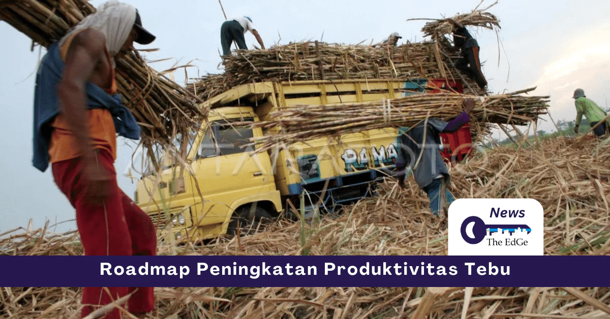 Roadmap Peningkatan Produktivitas Gula - The EdGe