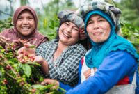 Harga Kopi Meroket - Artikel The EdGe